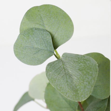 光触媒　人工観葉植物　ウォールグリーン　フェイクグリーン　ユーカリポット60