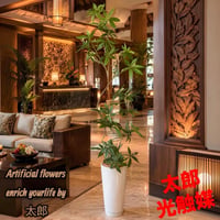 光触媒　人工観葉植物　ウォールグリーン　フェイクグリーン　コブラパキラ118