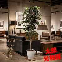 光触媒　人工観葉植物　フェイクグリーベンジャミン 高さ 1.8m