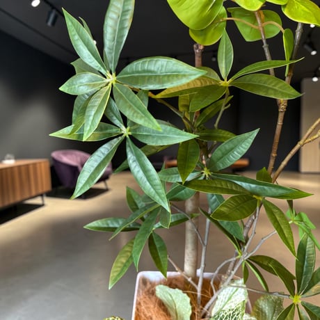 光触媒　人工観葉植物　ウォールグリーン　フェイクグリーン　ナンキンハゼパキラAL