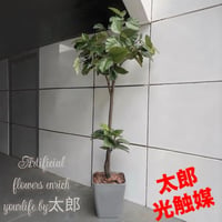 光触媒　人工観葉植物　ウォールグリーン　フェイク　フラワー　組立て式ウンベラータ