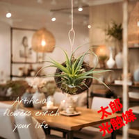 光触媒　人工観葉植物　ウォールグリーン　フェイクグリーン　エアープランツR