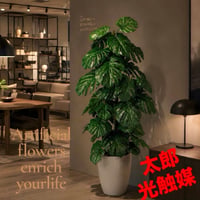 光触媒　人工観葉植物　ウォールグリーン フェイクグリーン　モンステラ130