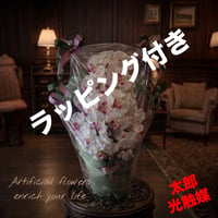 光触媒　人工観葉植物　ウォールグリーン　フェイクグリーン　胡蝶蘭6235g