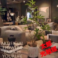 光触媒　人工観葉植物　ウォールグリーン　フェイクグリーン　ツイストパキラ80