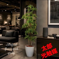 光触媒　観葉植物　ウォールグリーン　フェイクグリーン　ソングオブインディア150