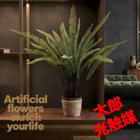 光触媒　人工観葉植物　ウォールグリーン　フェイクグリーン　シダーポット90