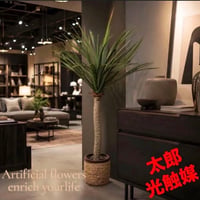 光触媒　人工観葉植物　ウォールグリーン　フェイクグリーン　ユッカロストラータ90