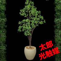 光触媒　人工観葉植物　ウォールグリーン　フェイクグリーン　アセビ8329