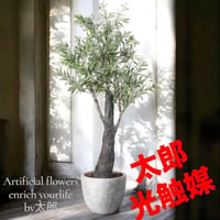 光触媒　観葉植物　ウォールグリーン　フェイクグリーン　ナチュラルオリーブ1.7