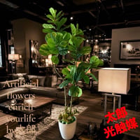 光触媒　観葉植物　ウォールグリーン　フェイクグリーン　ニューウンベラータ1306