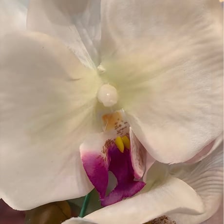 光触媒　人工観葉植物　ウォールグリーン　フェイクグリーン　胡蝶蘭6235g