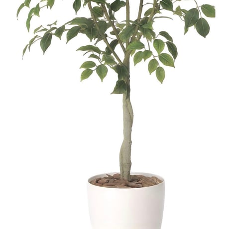 光触媒　人工観葉植物　ウォールグリーン　フェイクグリーン　フィカスツリー1.35