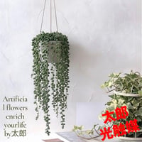 光触媒　観葉植物　ウォールグリーンフェイクグリーン　グリーンネックレスハンギング