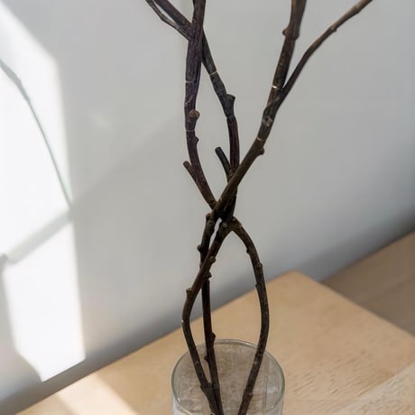 光触媒　観葉植物　ウォールグリーン　フェイクグリーン　マジカルウォーター1007