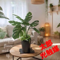 光触媒　人工観葉植物　ウォールグリーン　フェイクグリーン　oモンステラ68