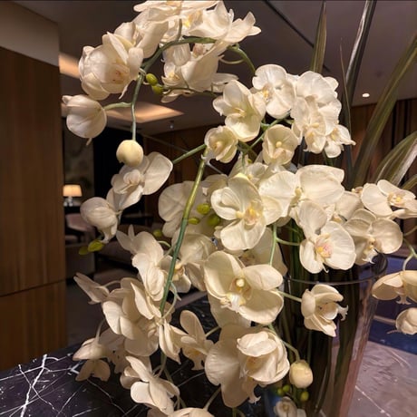 光触媒　人工観葉植物　ウォールグリーン　フェイクグリーン　エミリオロバ118