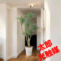 光触媒　人工観葉植物　ウォールグリーン　フェイクグリーン　ユッカw1.3