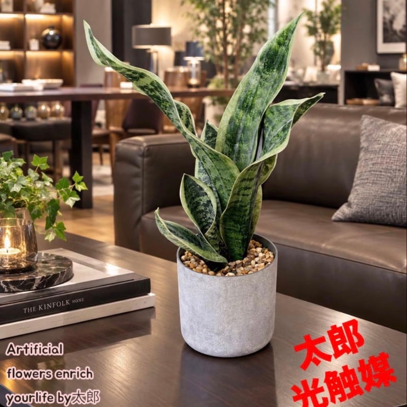太郎's STORE