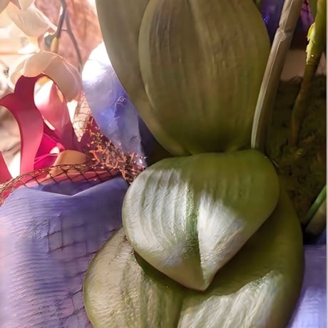 光触媒　人工観葉植物　ウォールグリーン　フェイクグリーン　胡蝶蘭7545仏