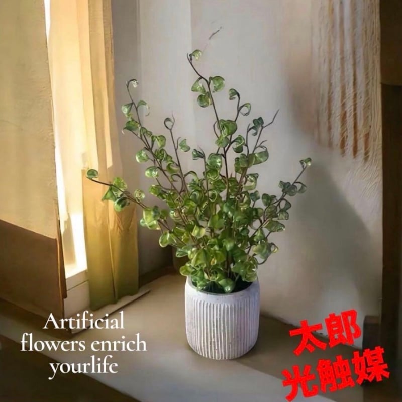 太郎's STORE