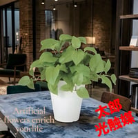 光触媒　人工観葉植物　ウォールグリーン　フェイクグリーン　ライムポトスブッシュ