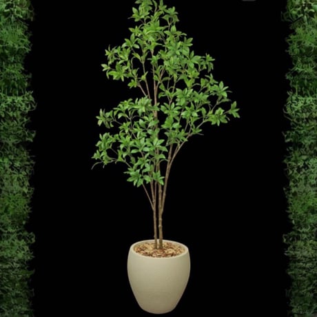 光触媒　人工観葉植物　ウォールグリーン　フェイクグリーン　アセビ8329