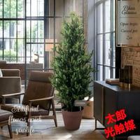 光触媒　人工観葉植物　ウォールグリーン　　フェイクグリーン　ピセアグラウカ