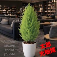光触媒　観葉植物　ウォールグリーン　フェイクグリーン　ゴールドクレストツリー11