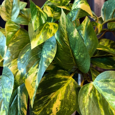 光触媒　人工観葉植物　ウォールグリーン　フェイクグリーン　マーブルポトス3552