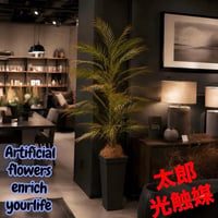 光触媒　人工観葉植物　ウォールグリーン　フェイクグリーン　アレカヤシ黒15085