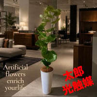 光触媒　人工観葉植物　ウォールグ リーン　フェイクグリーン　シーグレープ100