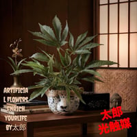 光触媒　人工観葉植物　ウォールグリーン　フェイクグリーン　大麻　マリファナ4036