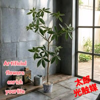 光触媒　人工観葉植物　ウォールグリーン　フェイクグリーン　ジョイントパキラ130