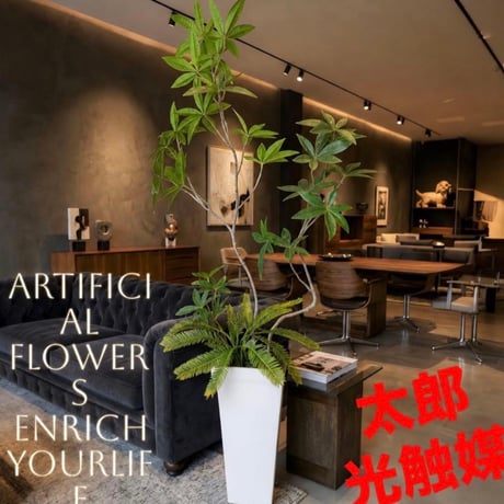 光触媒　観葉植物　ウォールグリーン　フェイクグリーン　クネクネパキラw107白鉢