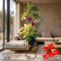 光触媒　人工観葉植物　ウォールグリーン　フェイクグリーン　アンスリュームAL2