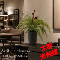 光触媒　人工観葉植物　ウォールグリーン　フェイクグリーン　ソードファン