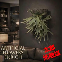 光触媒　人工観葉植物　ウォールグリーン　フェイクグリーン　コウモリランデコ