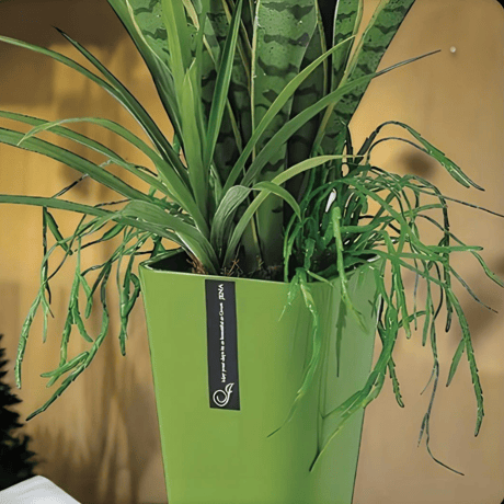 光触媒　人工観葉植物　ウォールグリーン　フェイクグリーン　サンスベリアアレンジR