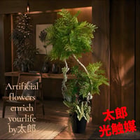 光触媒　人工観葉植物　ウォールグリーン　フェイクグリーン　エバーフレッシュ流木Ａ
