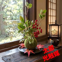 光触媒　人工観葉植物　ウォールグリーン　フェイクグリーン　苔玉ドウダン3016