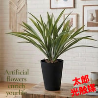 光触媒　人工観葉植物　ウォールグリーン　フェイクグリーン　アオオリヅルラン
