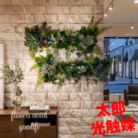 光触媒　人工観葉植物　ウォールグリーン　フェイクグリーン　壁掛け5056327b