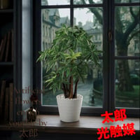 光触媒　人工観葉植物　ウォールグリーン　フェイクグリーン　パキラポット55