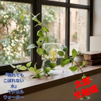 光触媒　観葉植物　ウォーターグリーン　フェイクグリーン　マジカルウォーター43