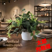 光触媒　人工観葉植物　ウォールグリーン　フェイクグリーン　フィットニアMIX