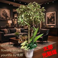 光触媒　人工観葉植物　ウォールグリーン　フェイクグリーン　斑入りベンジャミン12