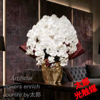 光触媒　人工観葉植物　ウォールグリーン　フェイクグリーン　胡蝶蘭白１０本jt