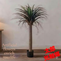 光触媒　観葉植物　ウォールグリーン　フェイクグリーン　ユッカロストラータ140