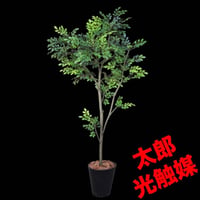 光触媒　人工観葉植物　ウォールグリーン　フェイクグリーン　トネリコ1123